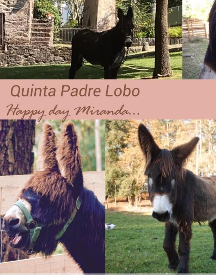 בית הארחה סנטה מריה דה פיירה 	Quinta Padre Lobo מראה חיצוני תמונה